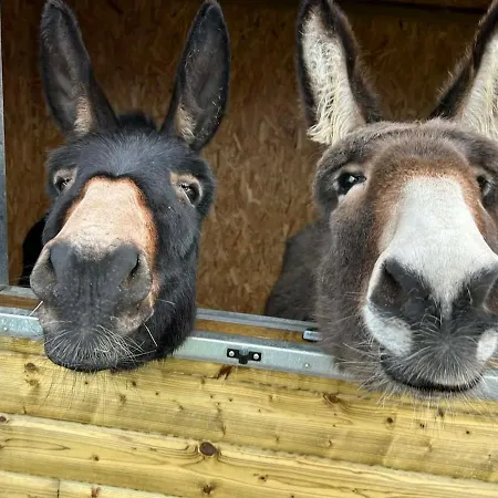 Le Des Anes Du Chateau D'hardelot Avec Bain Nordique بيت للعطل